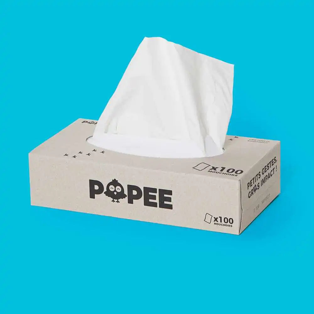 Boîte de 100 mouchoirs Popee