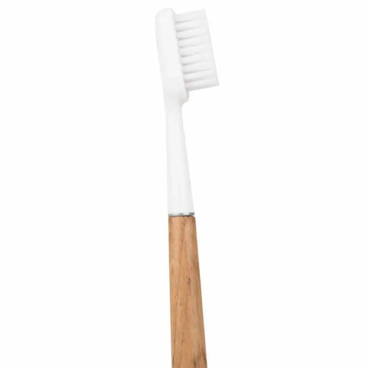 Brosse à dents Caliquo